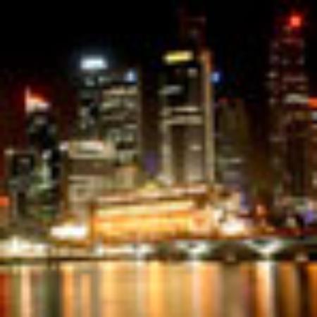 The Daily Coffee Cafe